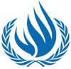 «Второе дыхание» Совета по правам человека